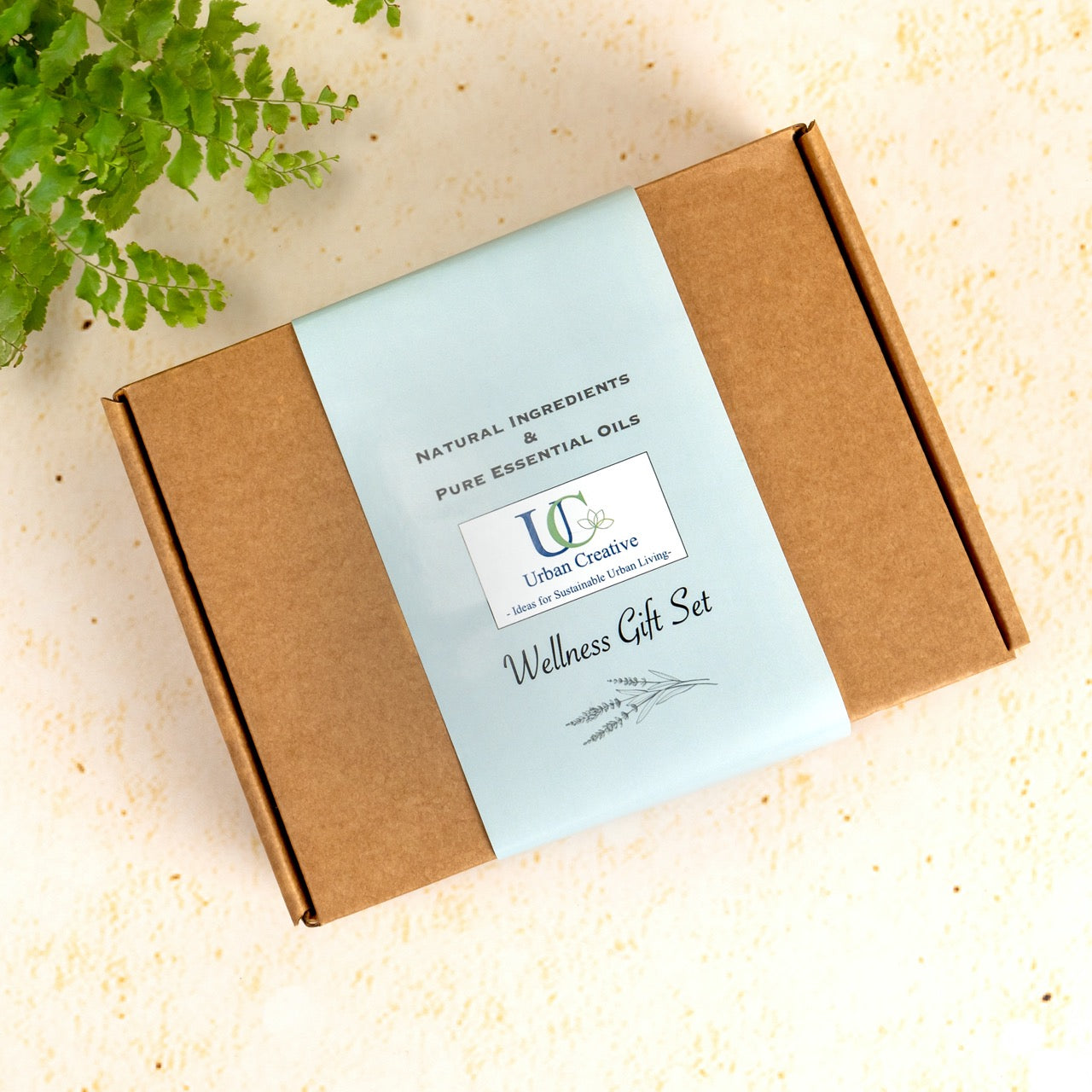 Wellness Gift Set ( 1 Lavender Basil Eye Pillow/ Hot Cold Compress + 2 Foot Soak Salts + 2 Shower Steamers)