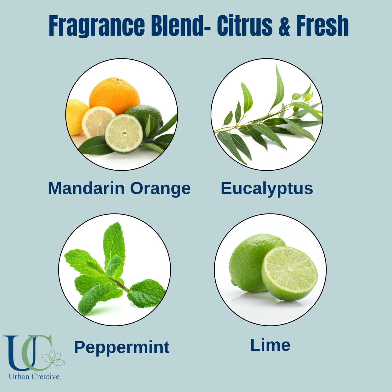 Orange, Peppermint & Eucalyptus -Fresh and Uplifting Citrus Fragrance Wax Tablet